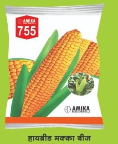 AMIKA 755