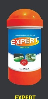 EXPERT